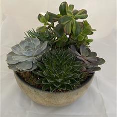 Industrial Succulent Planter